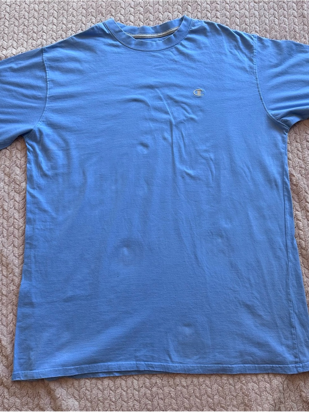 Heavy weight Champion Men's Crewneck T-Shirt in Light Blue